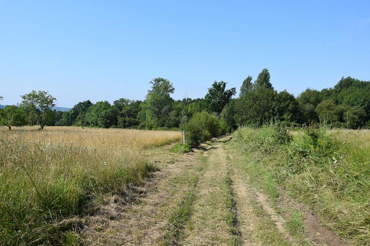 st-leon-boucle-coteux-nord (34)