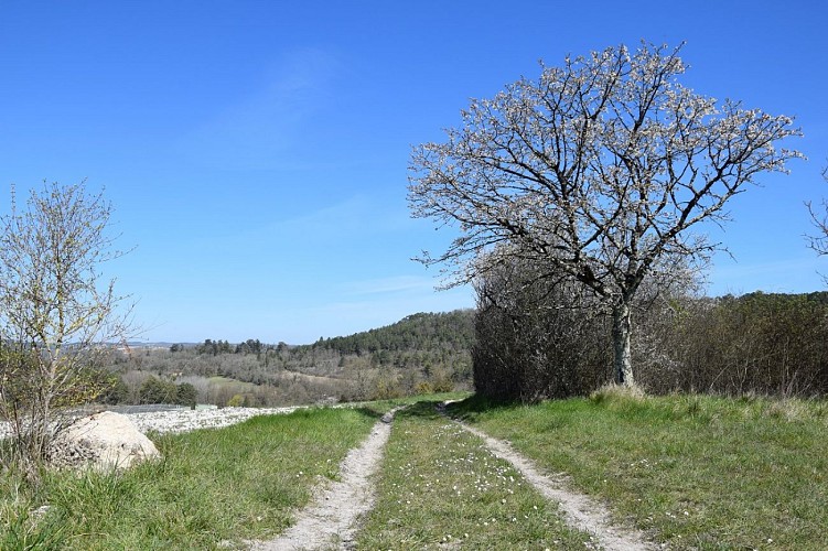 Montrem-sentier-truffières (13SIRT)