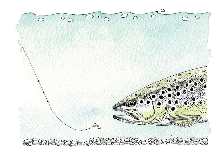 p71 schéma pêche au toc