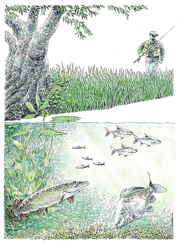 illustration générique au coeur des eaux