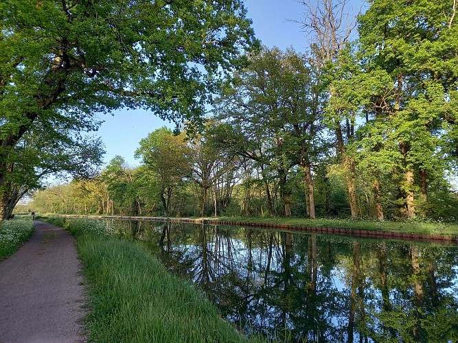 Balade le long du canal - Sud Nivernais