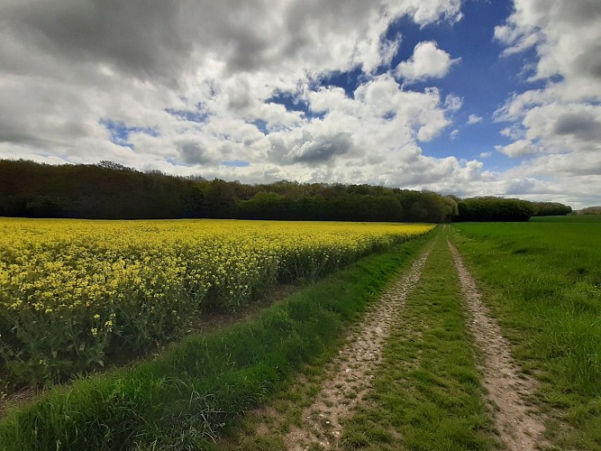 Circuit Corvol L'Orgueilleux ©Louis Beudet (2)
