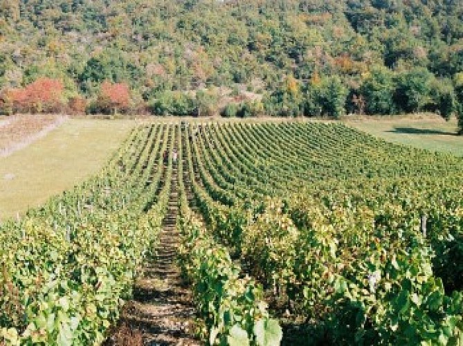 VARZY-TANNAY-CLAMECY