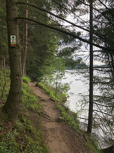 suivre le cercle rouge