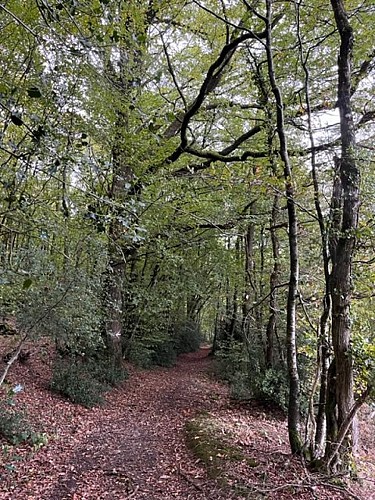 ©Emmanuelle-Le-Breton