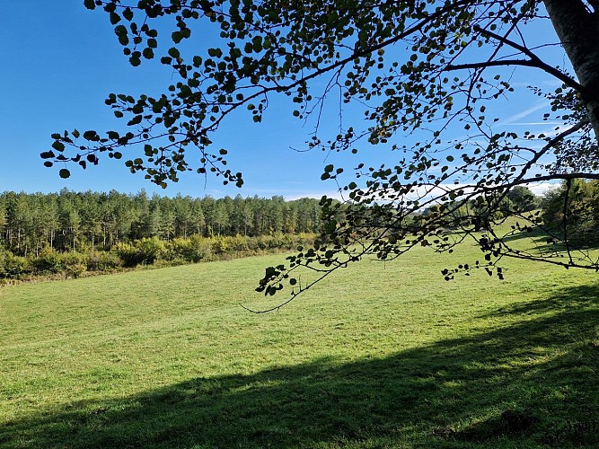 Sur le sentier de Raphaël