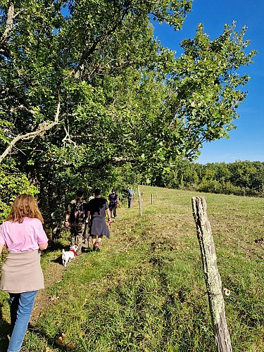 Sur le sentier de Raphaël