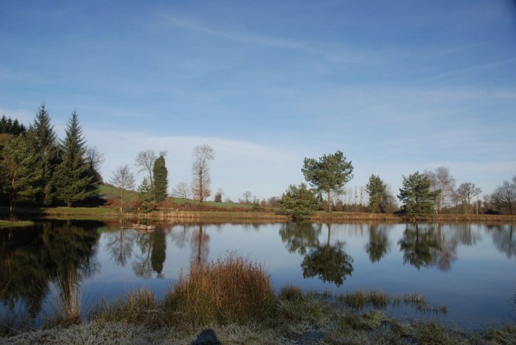 Etang de la Marette