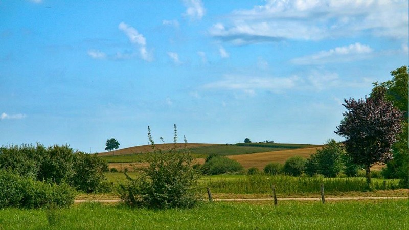 Paysage près de Luppy