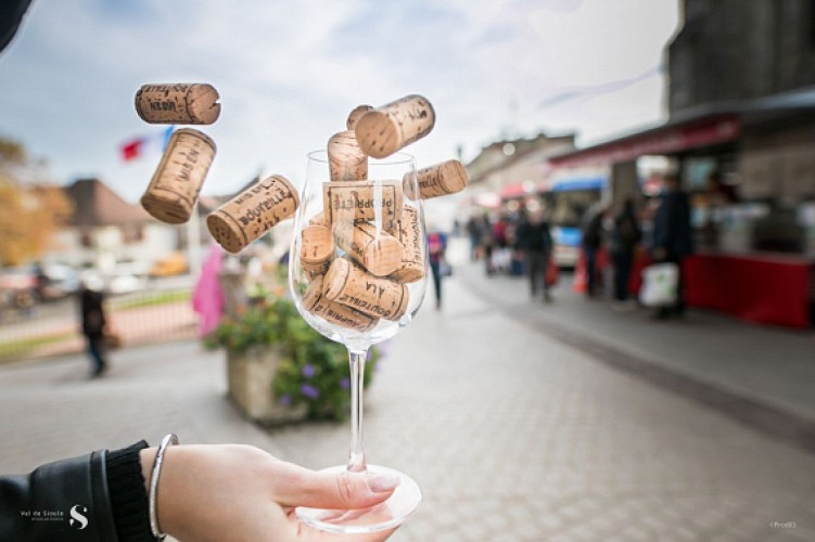 Circuit Gravel 36 km - Chemin des vignobles