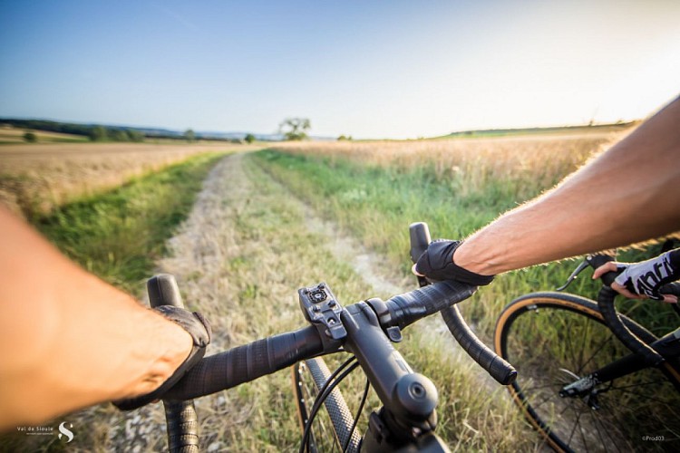 Circuit Gravel 36 km - Chemin des vignobles