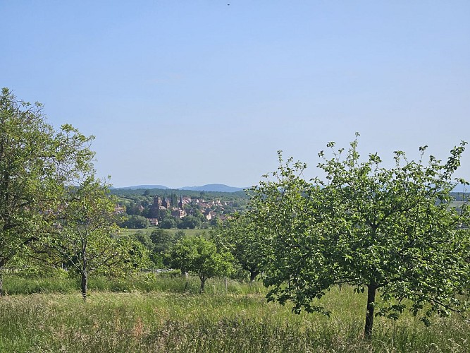 Une vue 100% nature