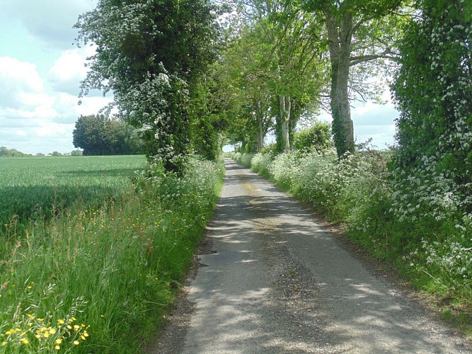 Balade au bord de la Risle (départ de Conteville)
