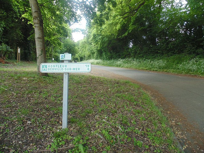 Balade au bord de la Risle (départ de Conteville)