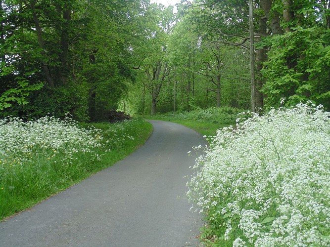 Balade au bord de la Risle (départ de Conteville)