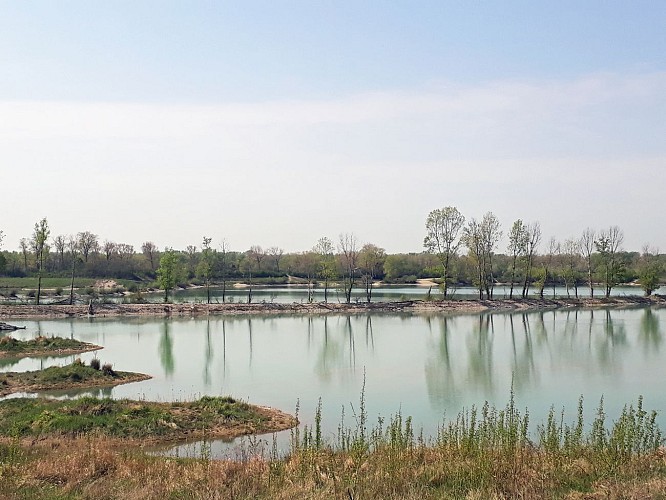 Parc de Miribel-Jonage - Le tour des 4 lacs