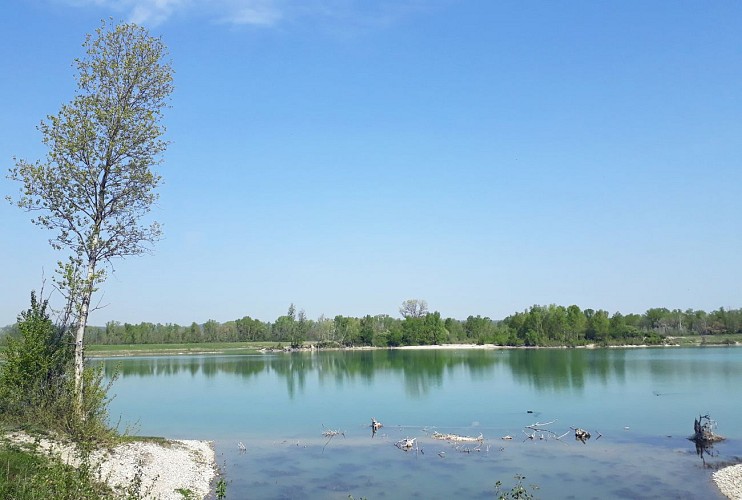 Parc de Miribel-Jonage - Le tour des 4 lacs