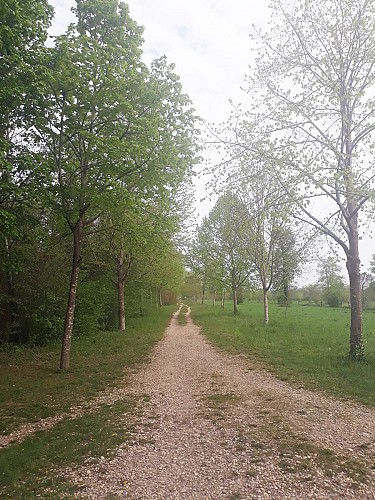 Parc de Miribel-Jonage - Le tour des 4 lacs