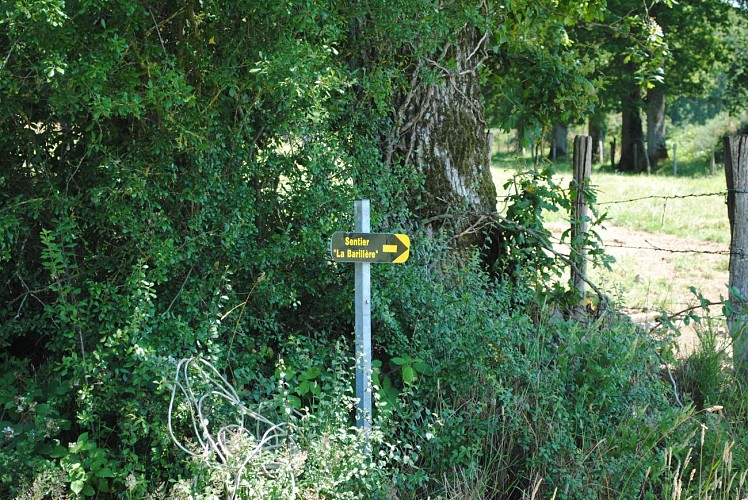 Circuit n°12 : La Barillère - Commune de Juvigné