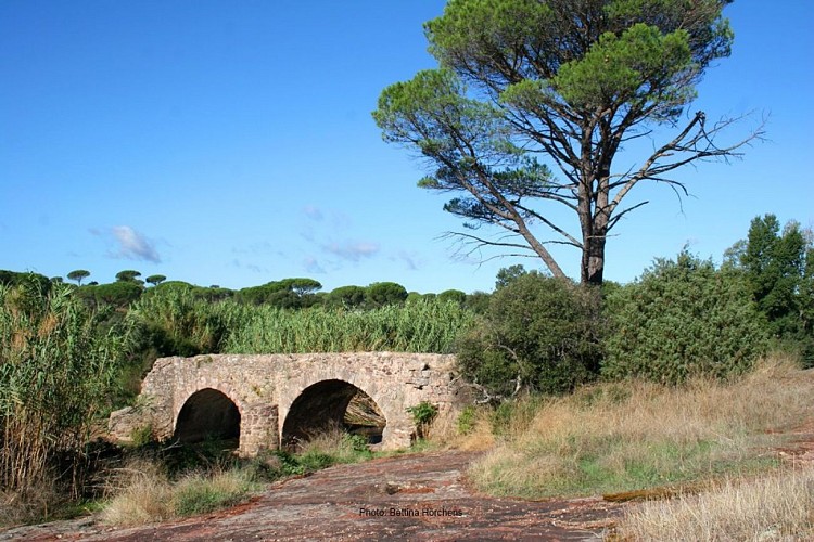 Le Pont Romain - Rando 9