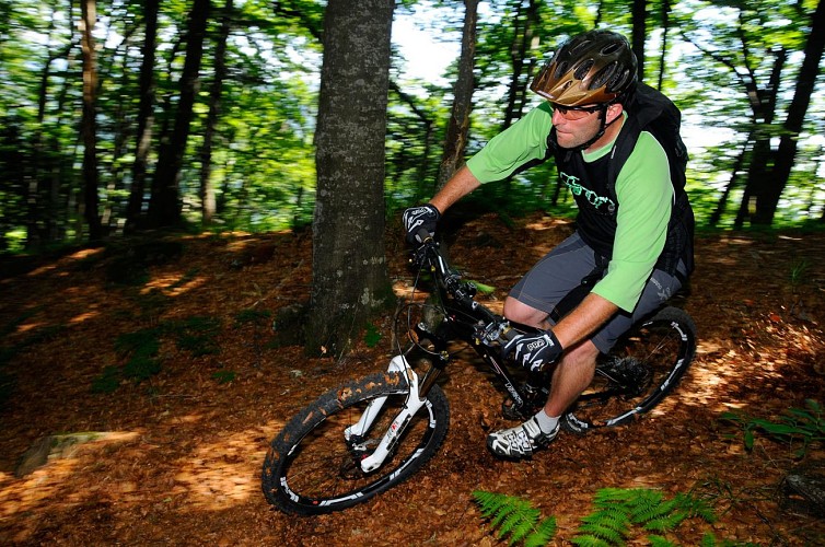 Des 2 Alpes au Freney d'Oisans