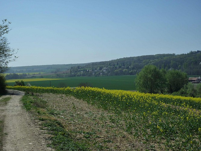 Brie by bike: from Coulommiers to Crécy-la-Chapelle