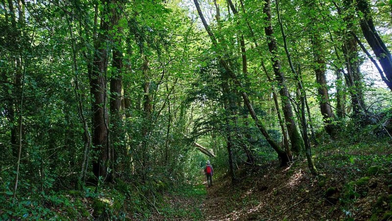 Boucle du Milin Keroué | Loguivy Plougras