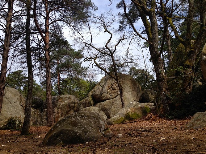 Rochers en forêt de Fontainebleau