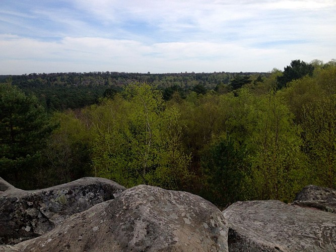 Gorges d'Apremont en forêt de Fontainebleau