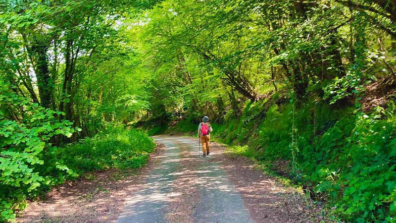 Chemin d'exploitation