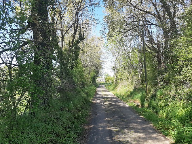 Le Lambon, une vallée secrète