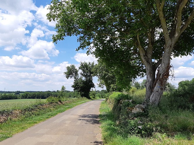 Ecravois, du plateau à la vallée...