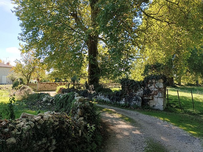 Entre murets de pierre sèche, le sentier de la Belle