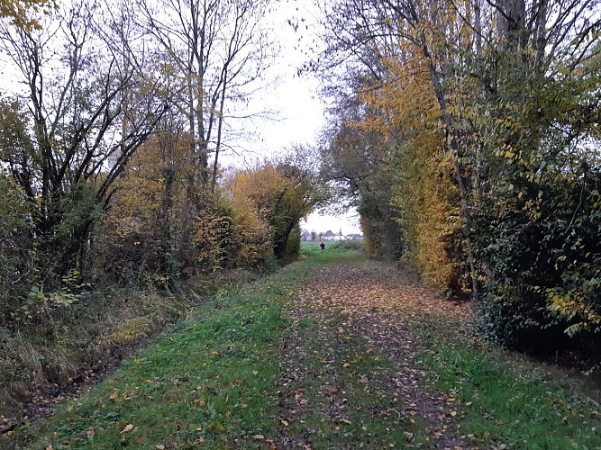 entre Javarzay et Lussay