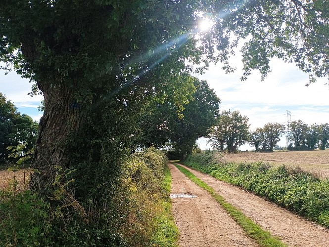 Retour à Beaussais