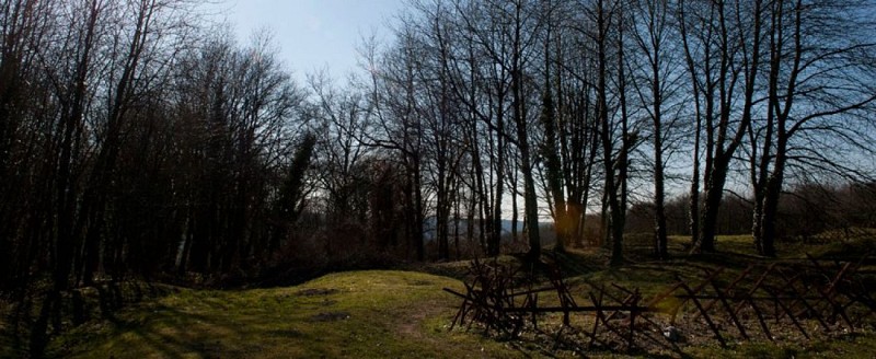 Les troupes britanniques en France pendant la Première Guerre Mondiale