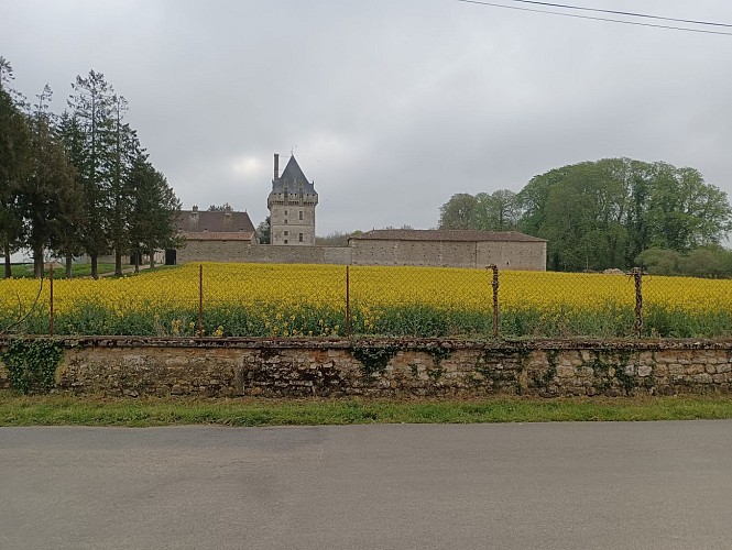 Château de Jouhé, départ et arrivée de la balade de la châtagne