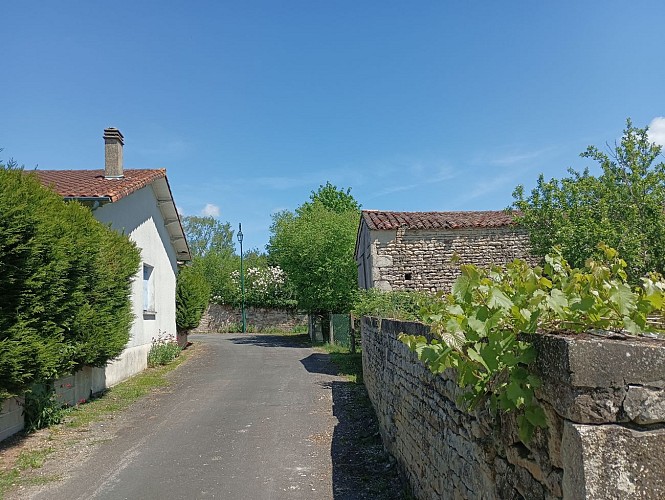 Hanc, le chemin des lavandières