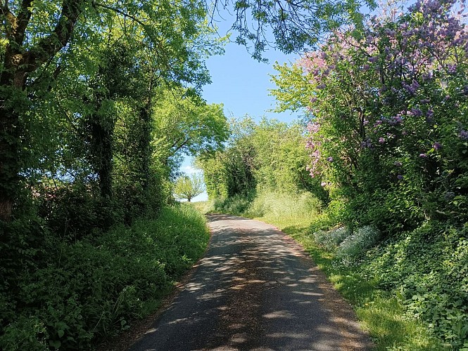 Villemanan, le chemin des lavandières