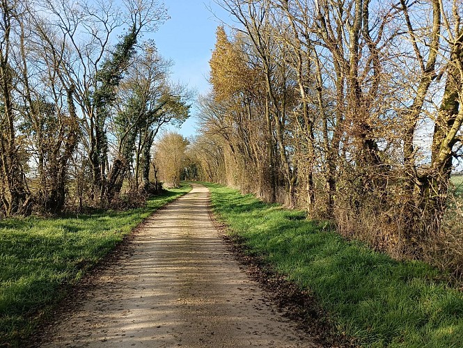 chemin où passaient les diligences entre Bouin et Ardilleux