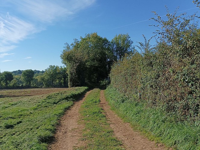 Lambon-Gros-Bois (1)