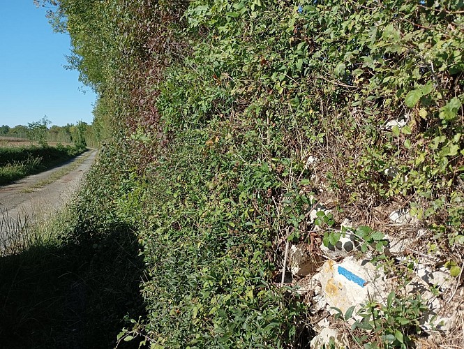 Périgné de Périgné