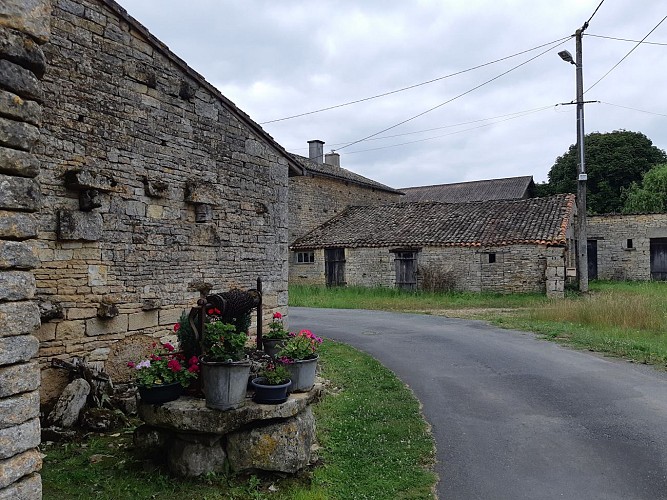 Margelle fleurie à La Baronnière