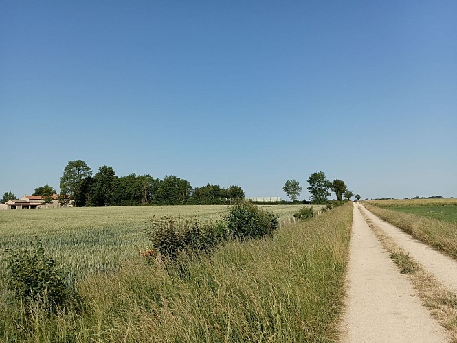 Près le Moulin de La Baronnière