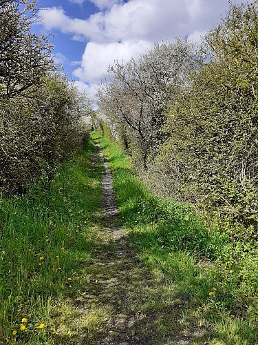La montée vers le viaduc