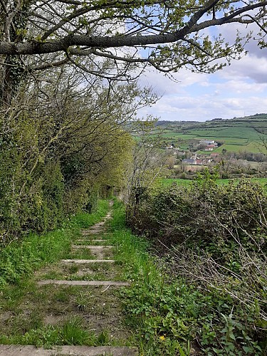 chemin des vingts mesures