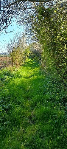 Sentier Les Fontaines