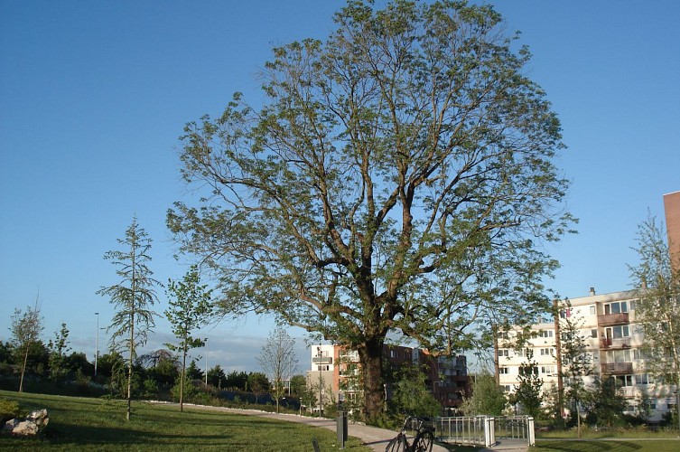 Spaziergang zwischen zwei Parks in Lambersart