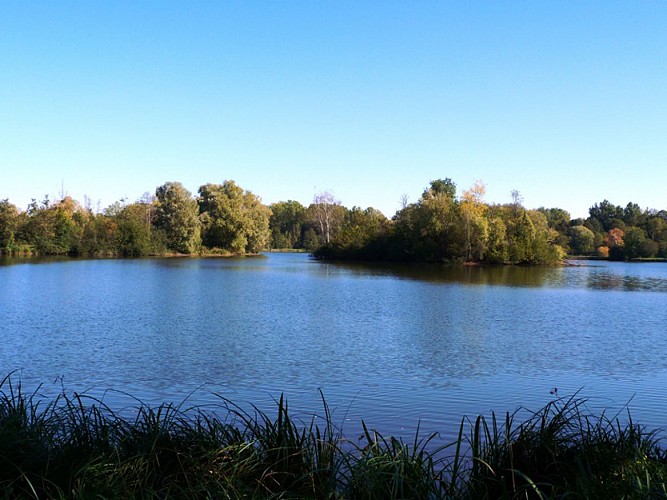Les étangs de Dordives