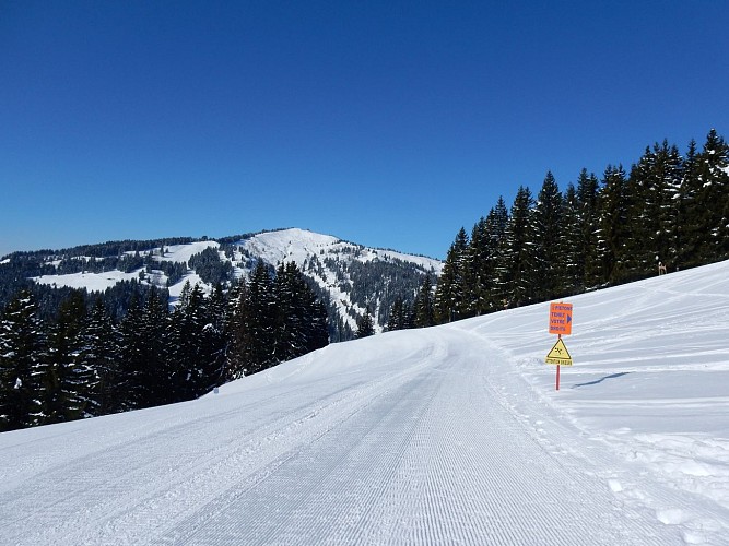 Snowshoeing itinerary From top of Jaillet to Jaillet pass